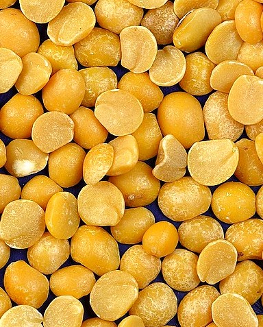 Yellow Peas